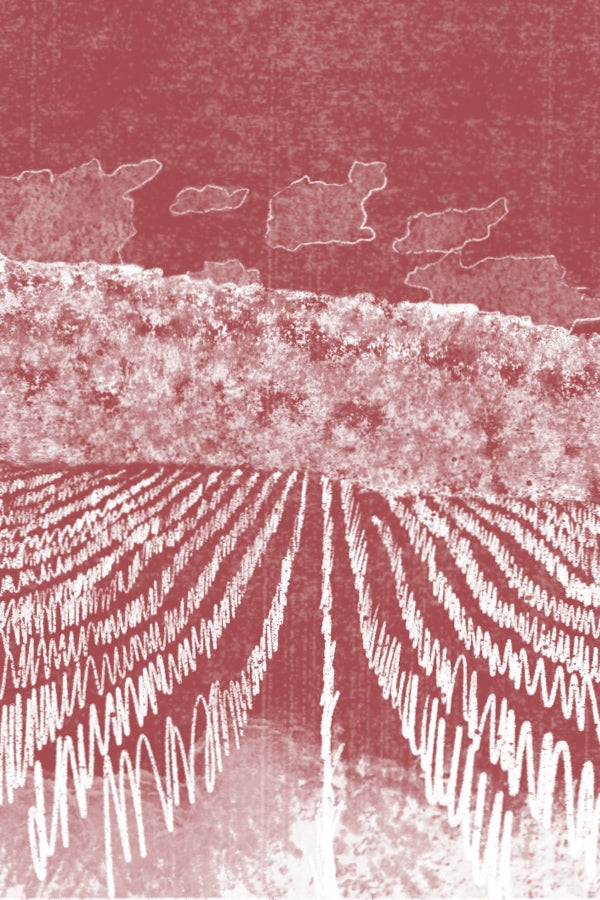 Bencze Várvölgy Pinot Gris "Impromptu" 2022