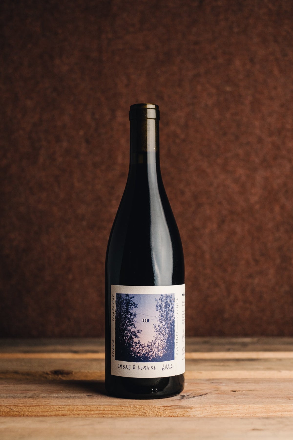 Étienne Seignovert  Ombre et Lumiére 2022