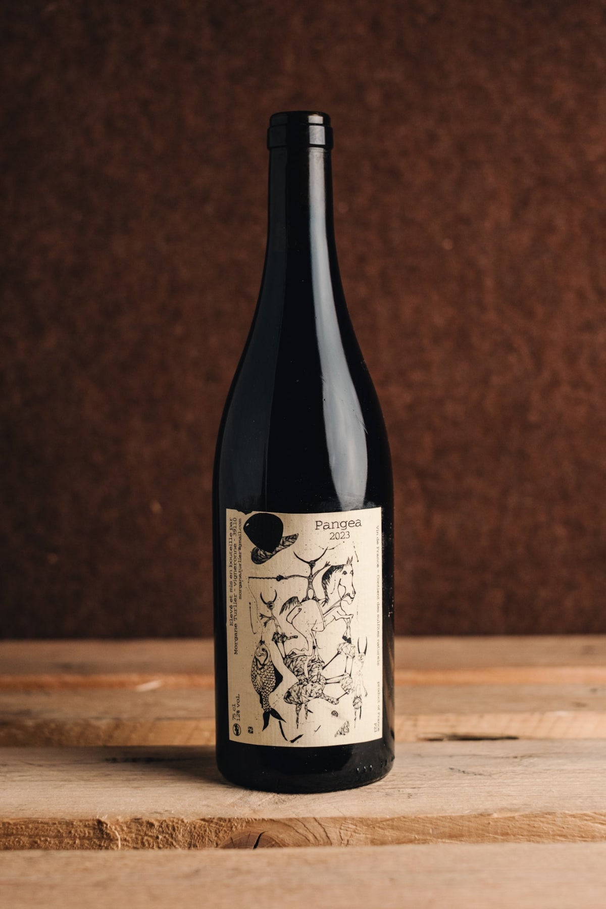 Morgane Turlier Pangea 2023