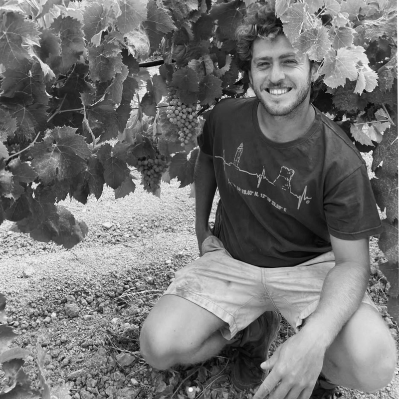 Agricola_Gili_profile